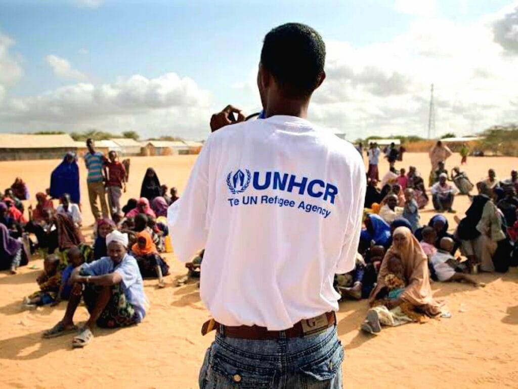 United nations jobs in Kenya